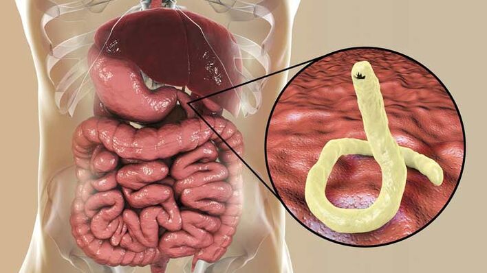 Parasites in the human body